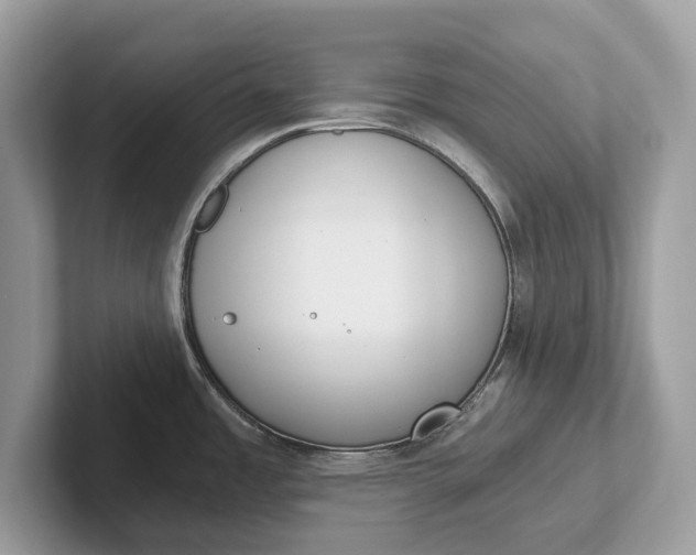 X0000101461485200807211323