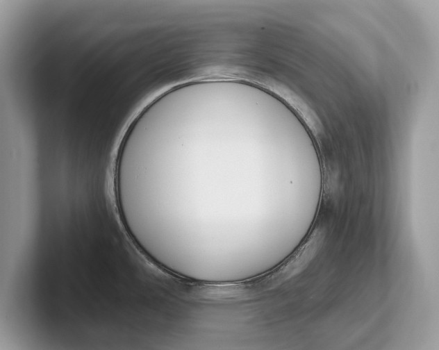 X0000101461486200807211323