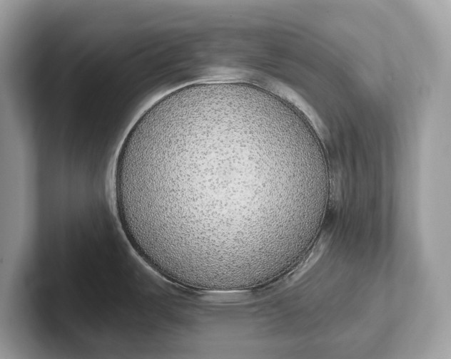 X0000101461487200807211323