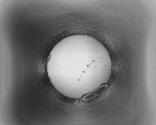 X0000101461490200807211322