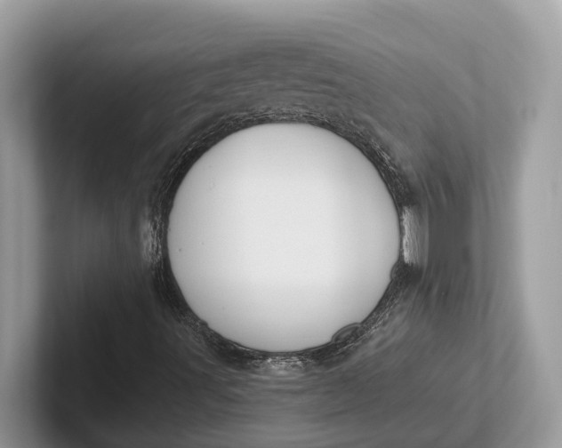 X0000101461491200807211322