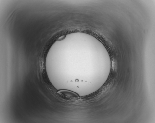 X0000101461492200807211322