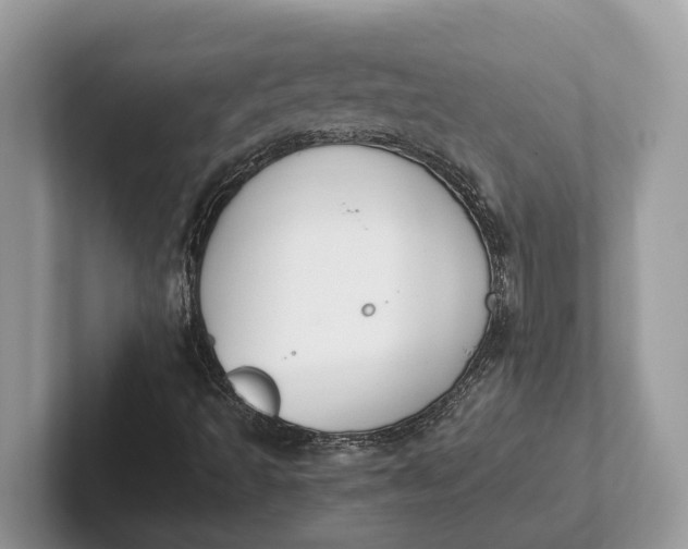 X0000101461493200807211322