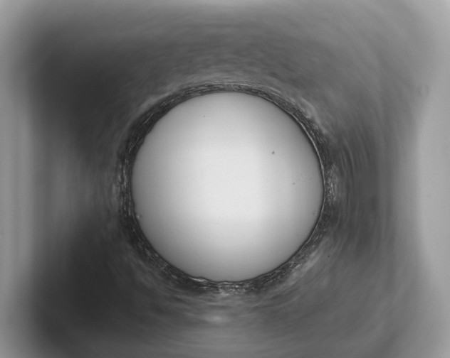 X0000101461494200807211322