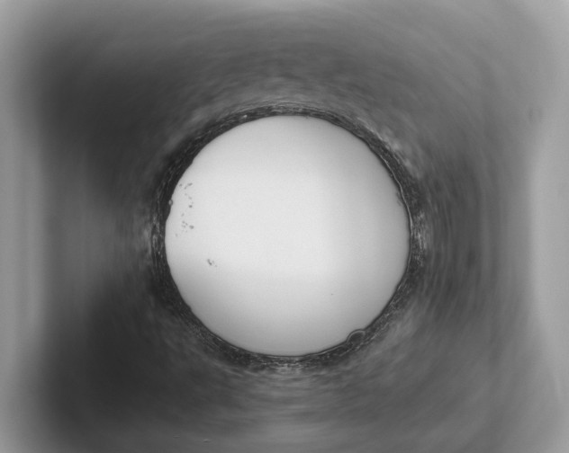 X0000101461495200807211322