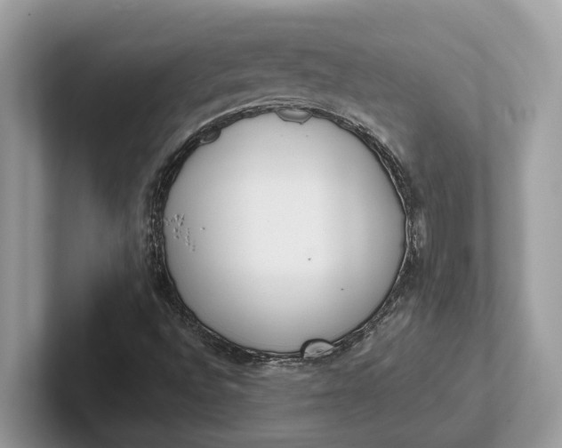 X0000101461496200807211322