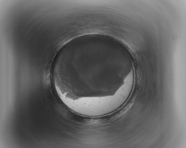 X0000101461497200807211322