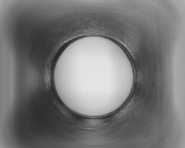X0000101461499200807211322