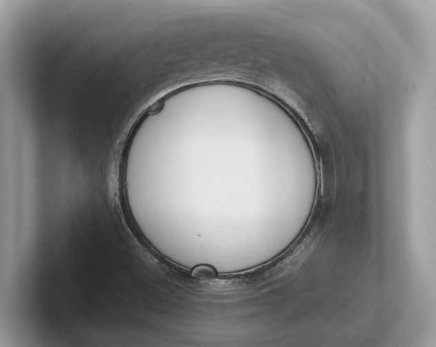 X0000101461500200807211322
