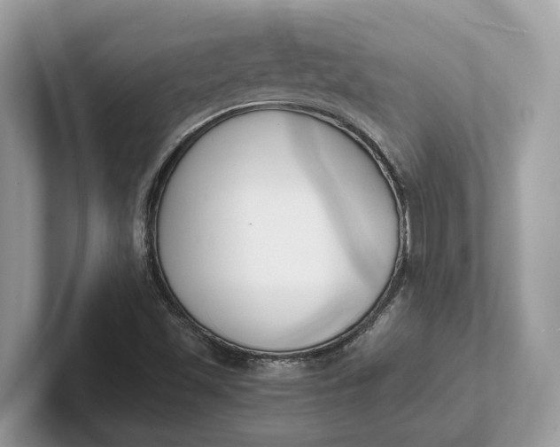 X0000101461501200807211322