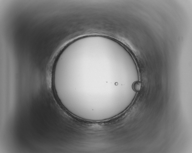 X0000101461504200807211322