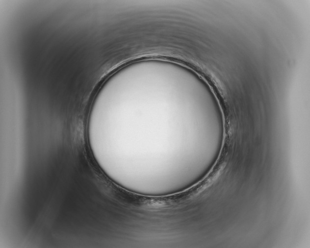 X0000101461505200807211322