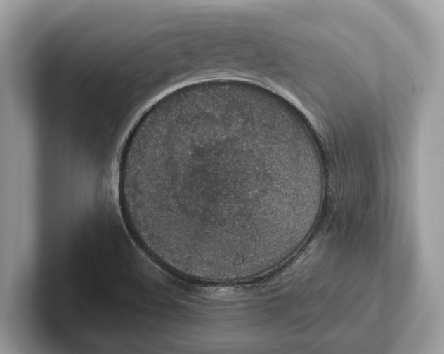 X0000101461508200807211322