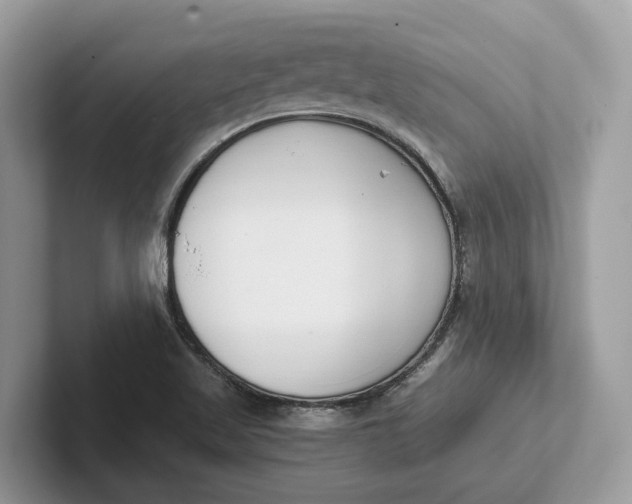 X0000101461509200807211322