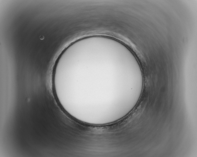 X0000101461512200807211322