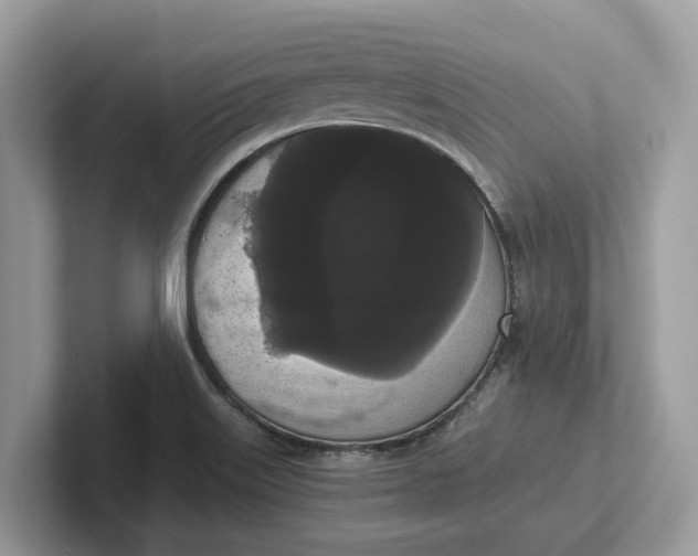 X0000101461515200807211323