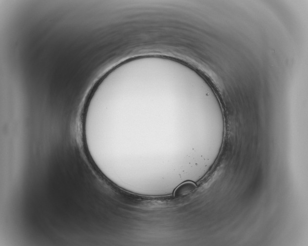 X0000101461517200807211323