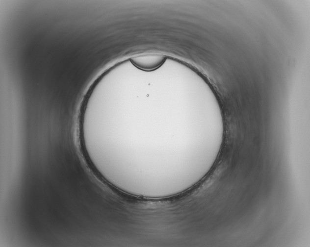 X0000101461518200807211323