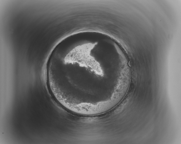 X0000101461519200807211323