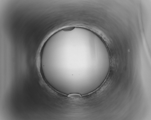 X0000101461520200807211323
