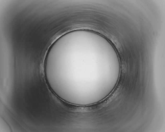 X0000101461521200807211323