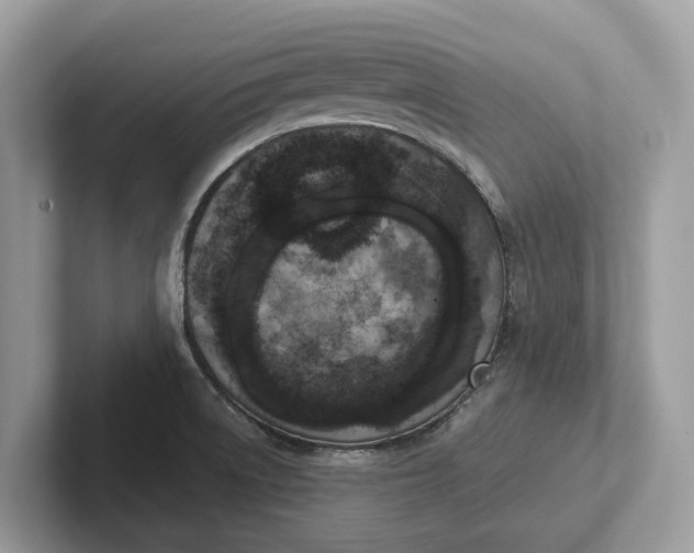X0000101461522200807211323