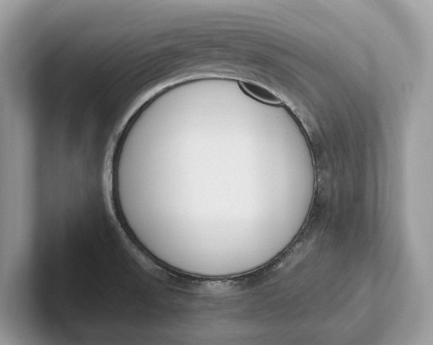 X0000101461523200807211323