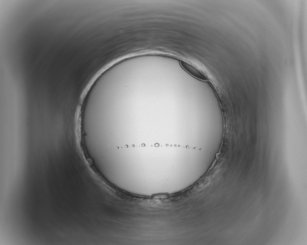 X0000101461524200807211323
