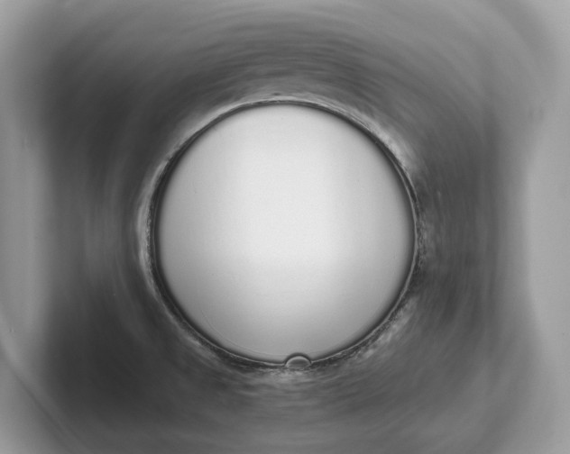 X0000101461525200807211323