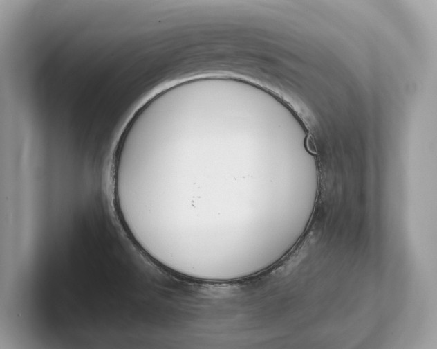 X0000101461526200807211323