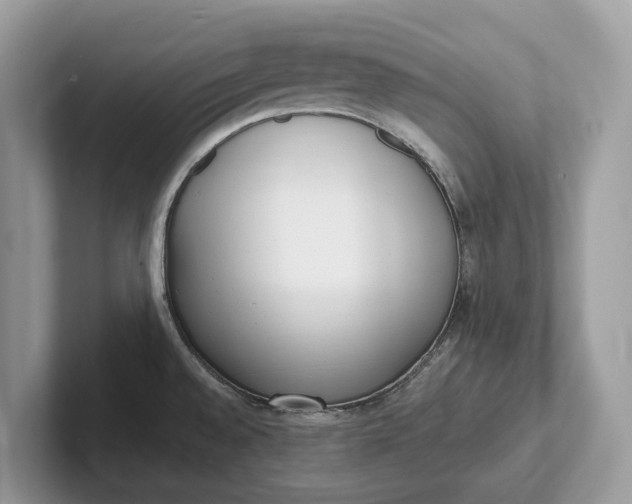 X0000101461528200807211323