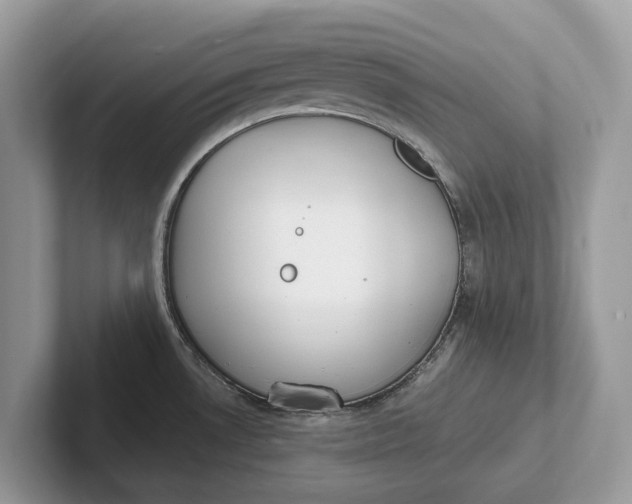 X0000101461530200807211323