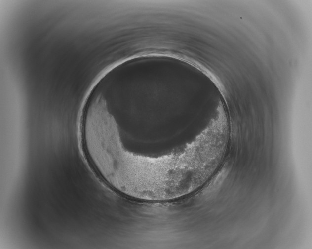 X0000101461533200807211323