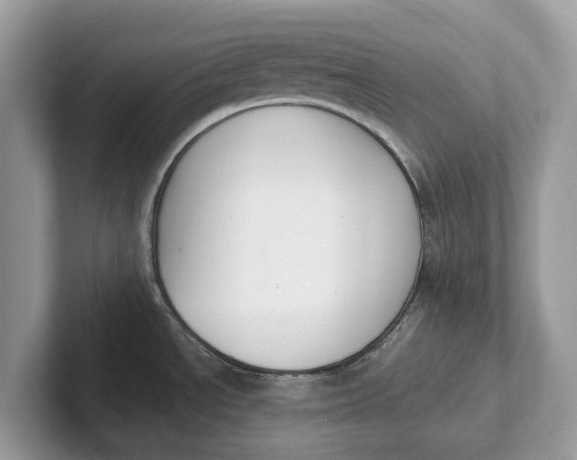 X0000101461534200807211323