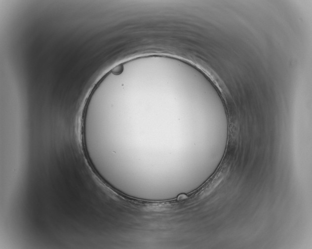 X0000101461535200807211323
