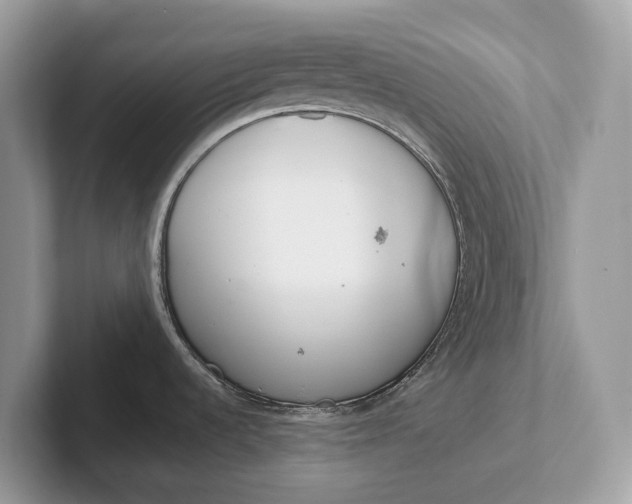 X0000101461536200807211323