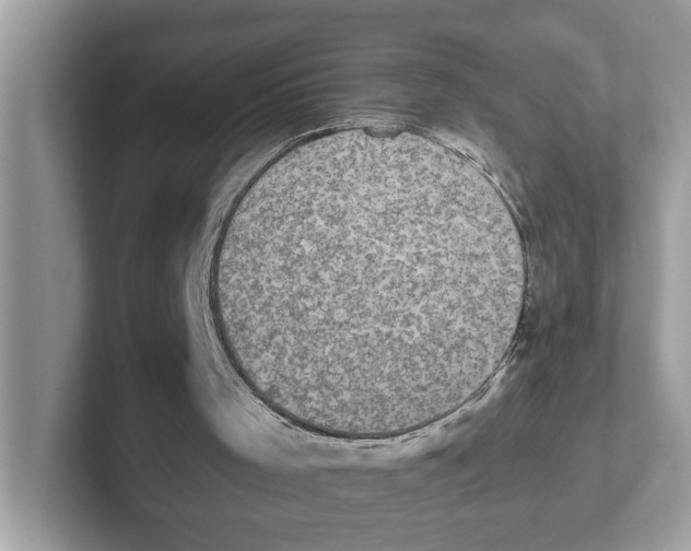 X0000101460001200807281009