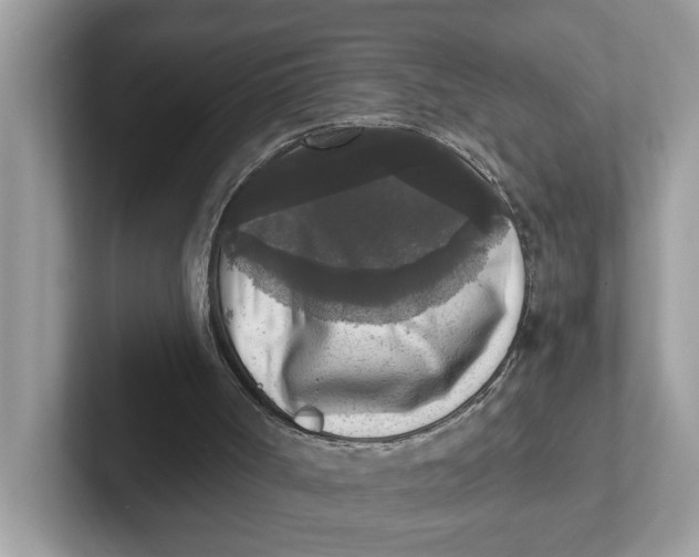 X0000101460002200807281009