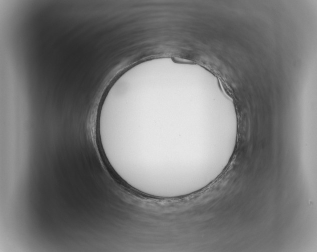 X0000101460003200807281009