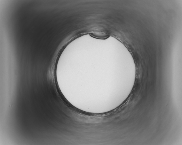 X0000101460004200807281009