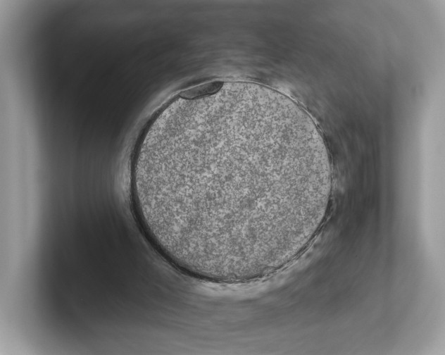 X0000101460005200807281008