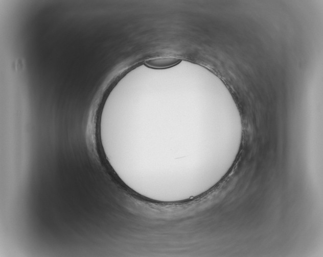 X0000101460006200807281008