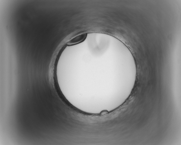 X0000101460007200807281008