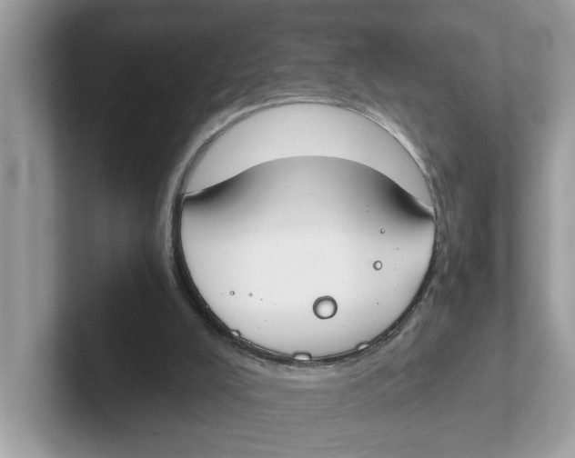 X0000101460008200807281008