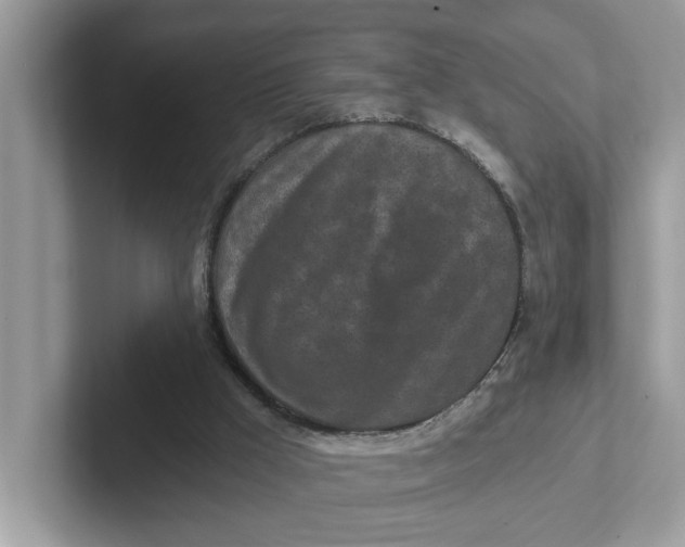 X0000101460009200807281008