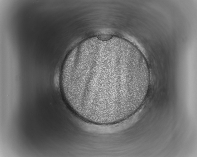 X0000101460010200807281008