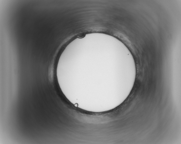 X0000101460012200807281008