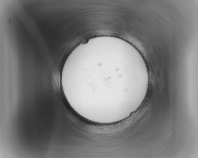 X0000101460013200807281008