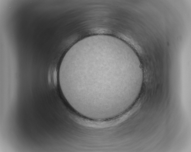 X0000101460014200807281008