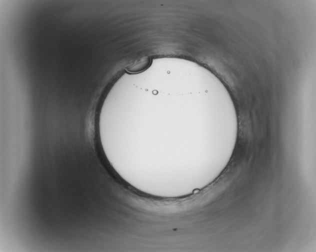 X0000101460015200807281008